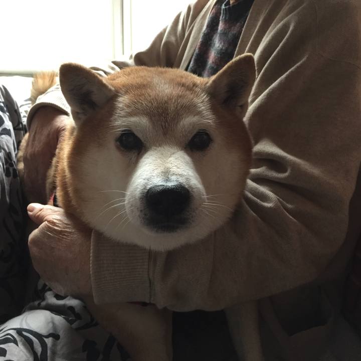 D41a7770 25e0 4675 90e6 5d3b1a41a373