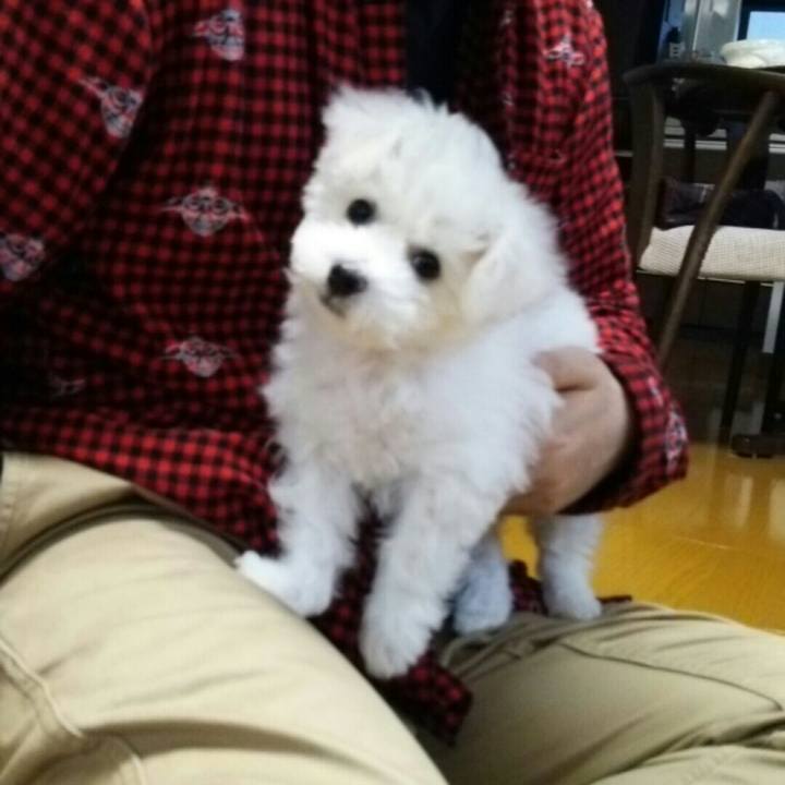 D41a8d8b 4bb7 46be 94a6 b1afe1cd34b2