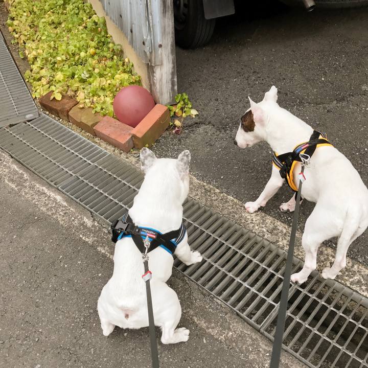 D41b616a 842f 4c37 848b 1f5bd642df75