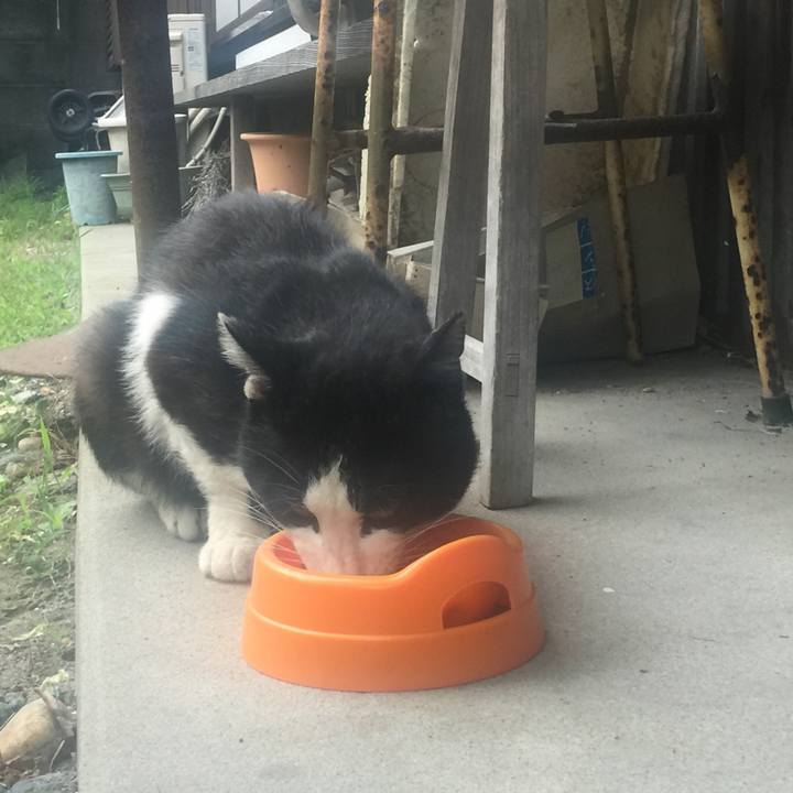 D41bc237 eb86 450f 9060 bb9fe8345ede