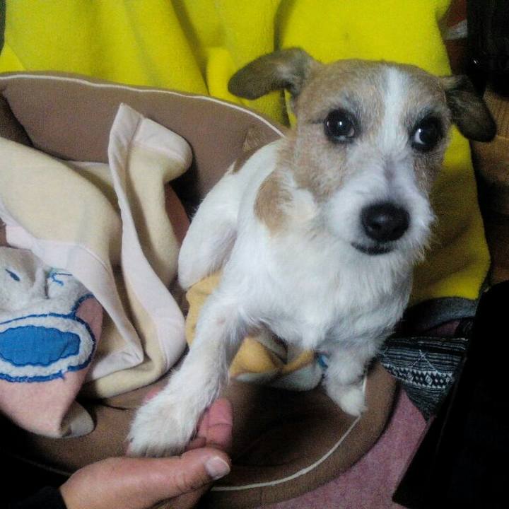 D41c6e65 f741 4879 878c 03fd3c383a1b