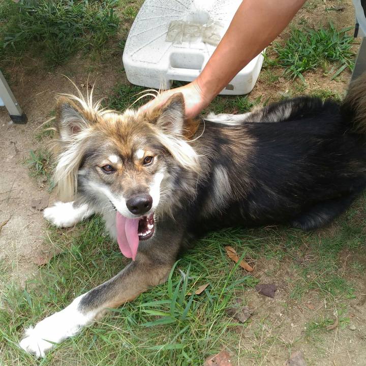 D41dee0c fc14 4e0e b160 82429daf9847