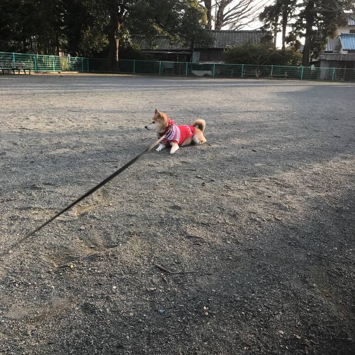 D41e0861 371d 44ea 8a87 245106ac7483