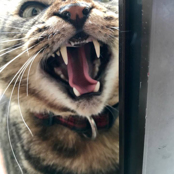 D41ee503 4f20 486b 9caa b50618fb4067