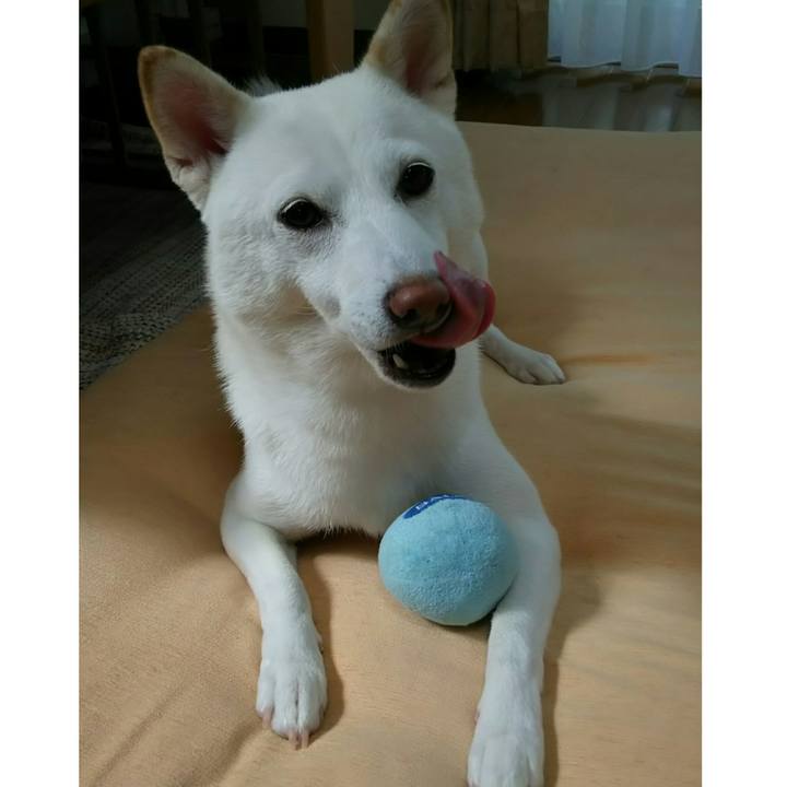 D41f9ea6 c6e0 4127 bc0b 377966eaf0d6