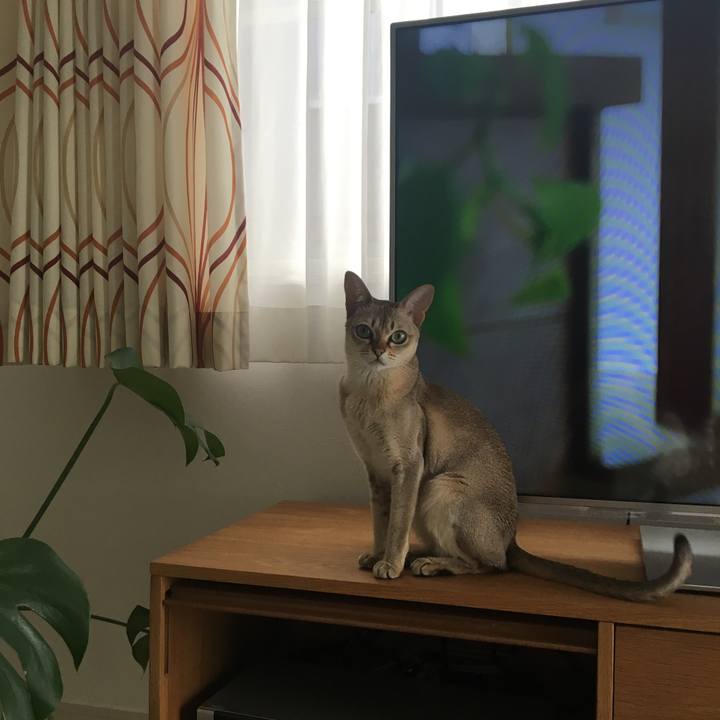 D42011b4 2bd4 4061 a565 546ffa1263a5