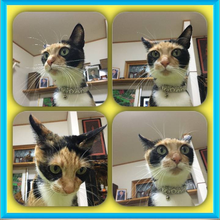 D4201f53 c68c 4f06 896f 726468b172ad