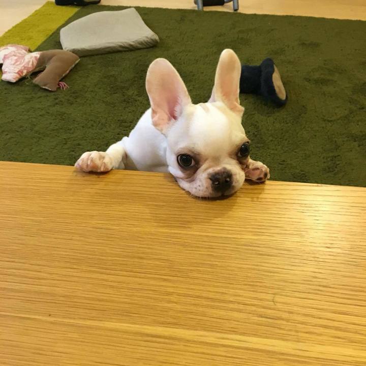 D4202e99 e7f1 4cc7 b5e7 fe6541954107