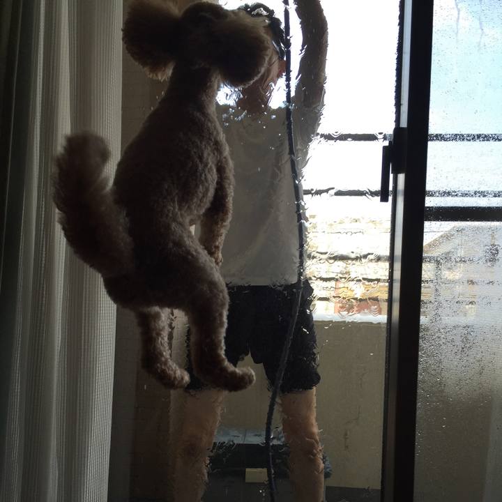 D420f997 4ac4 4c4b b8c9 0f6324ab9279