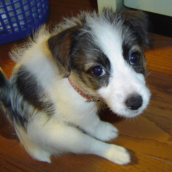 D4219ff5 c8b7 47dc 9c34 127985aaa1bc