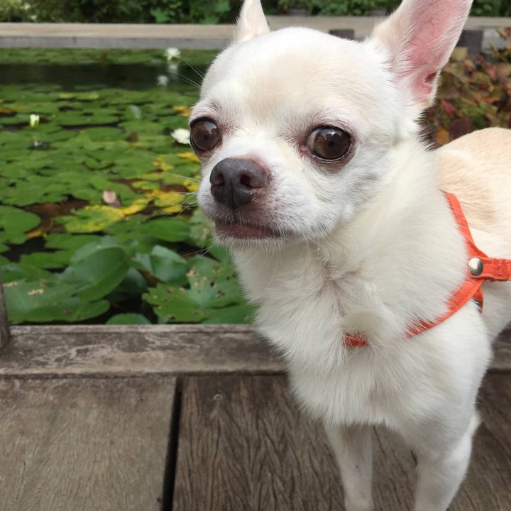 D42272c7 7f87 4f35 bbf3 31a38afb0849