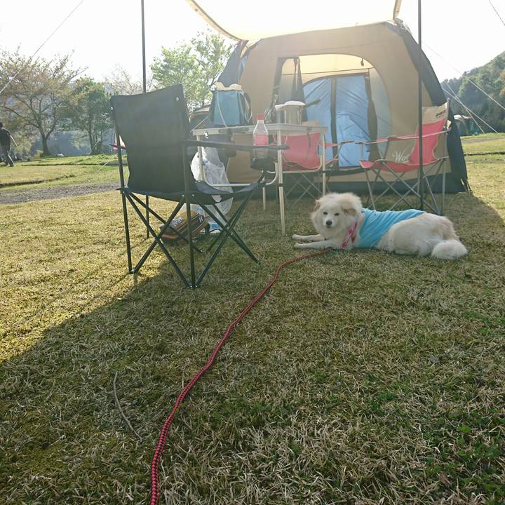 D422c89d 22fb 4ed2 b24c d70d93cb42a5