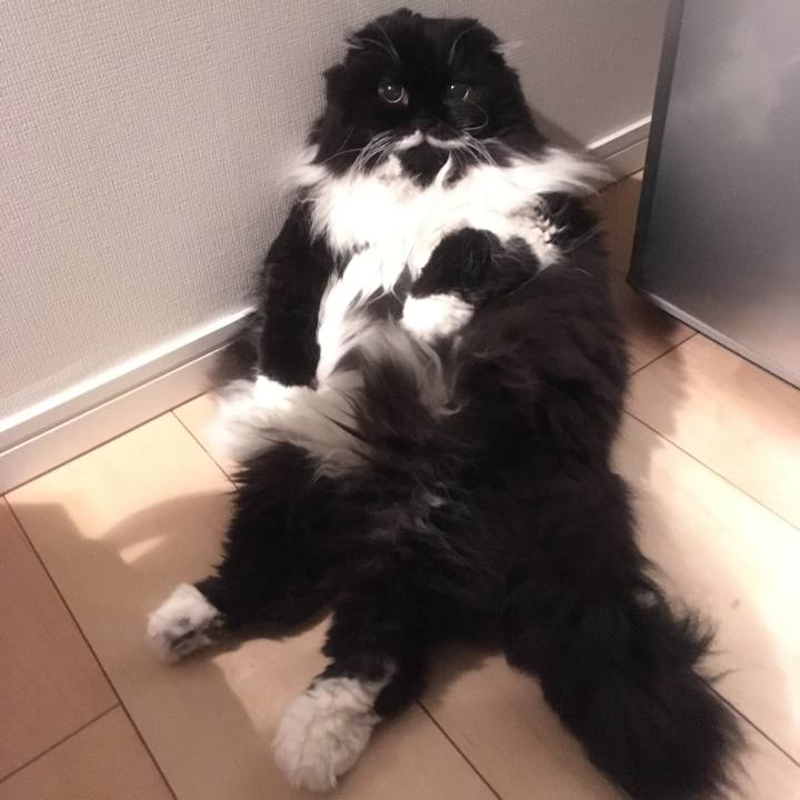 D4232153 6f1d 451c b60d 9fabfd6a9254