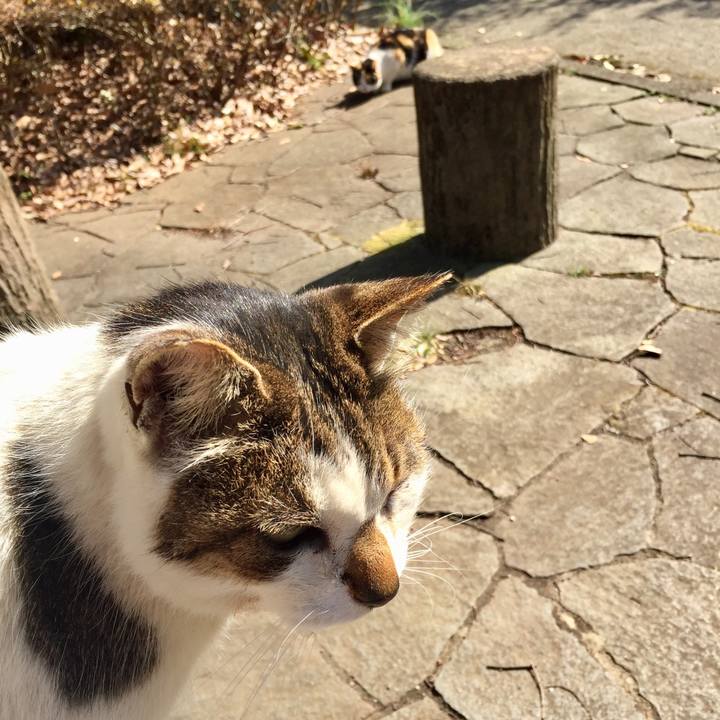 D42335b3 edf5 4693 a47e 6fb79bc21a78