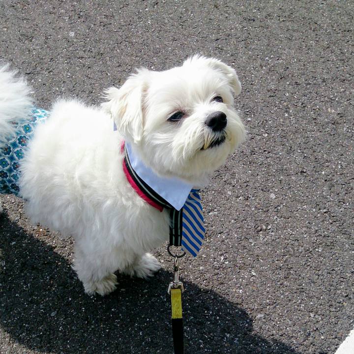 D42353cd f117 458a b089 371b41445fb2