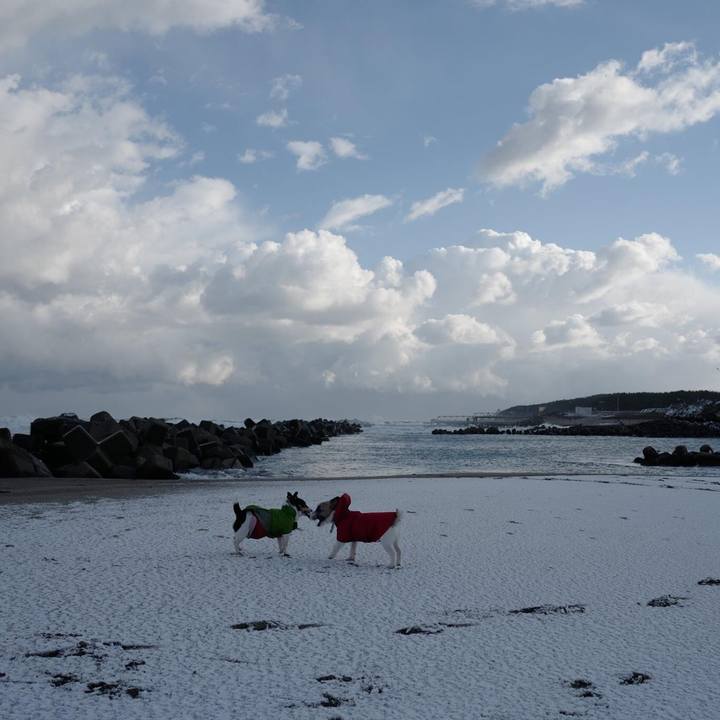 D4247573 6e88 43e5 aa86 ec5b265fee02