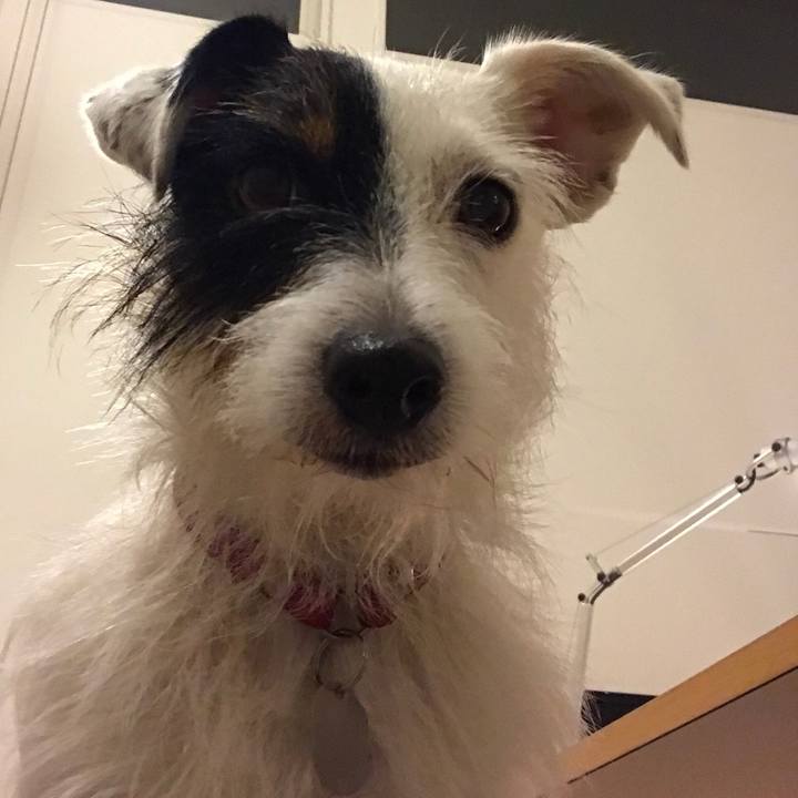 D4250581 cab5 45b8 8f64 c81e607d5ead