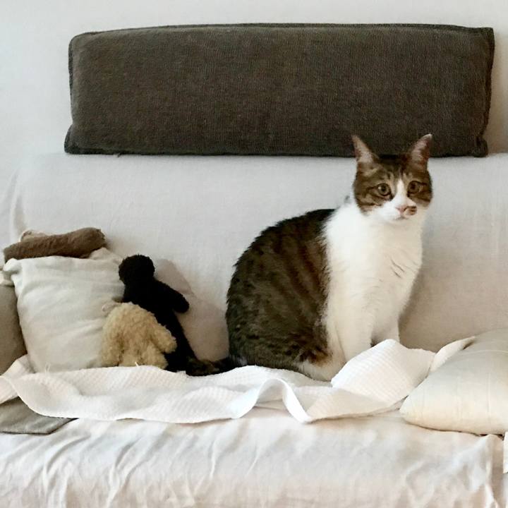 D42584c8 116b 4564 b36c d25773492c50