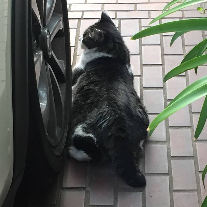 D426226e 93e1 465f aec0 582b93c05b86