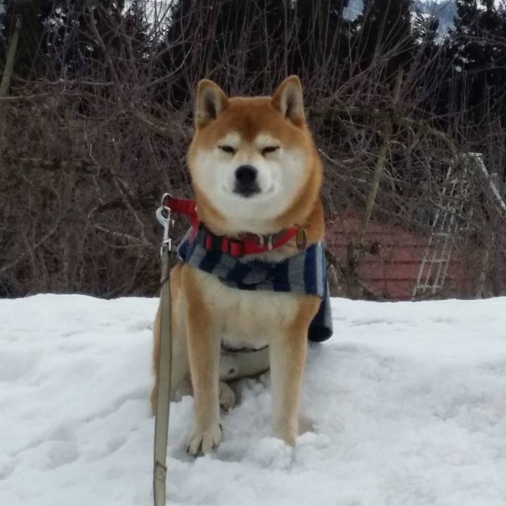 D42638f4 d2f3 49e8 8e8c 0069cb3a5f75