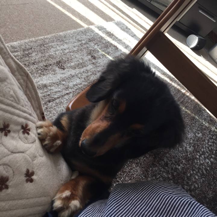 D4269868 c574 456f a8e4 dff1f0083487