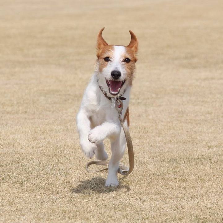 D426c1e2 51ff 44ce acc1 27da24f50a42