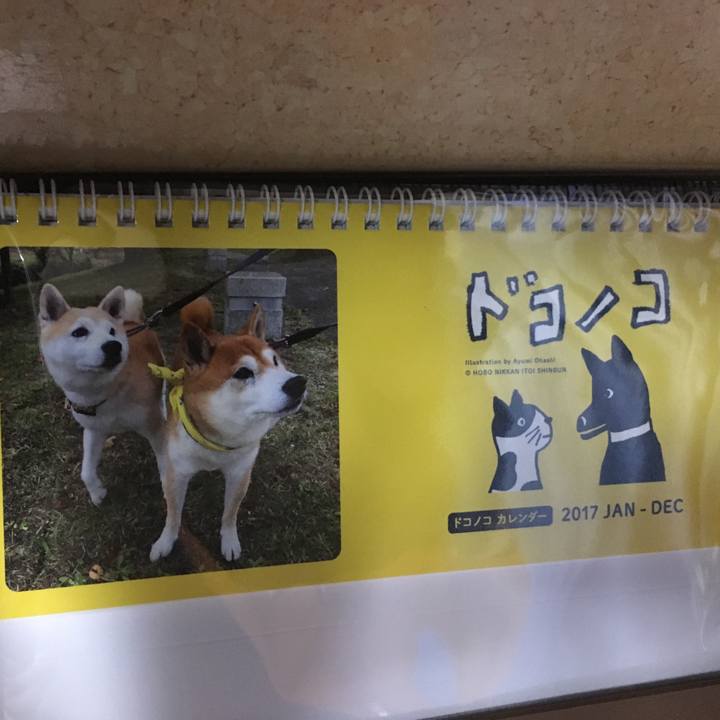 D427ca67 2f60 4bef a77a 6a5cee27c605