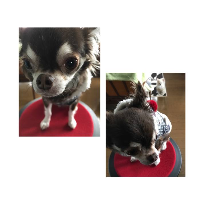 D428064b cf30 49f2 8a5e 8fb70db1b2be