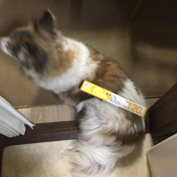 D428532b 884c 4646 b852 de200f7d5981