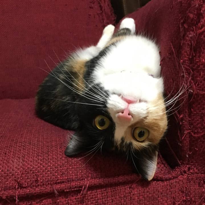 D42862d9 60a4 4b6c a9ba adf6da57d4bc