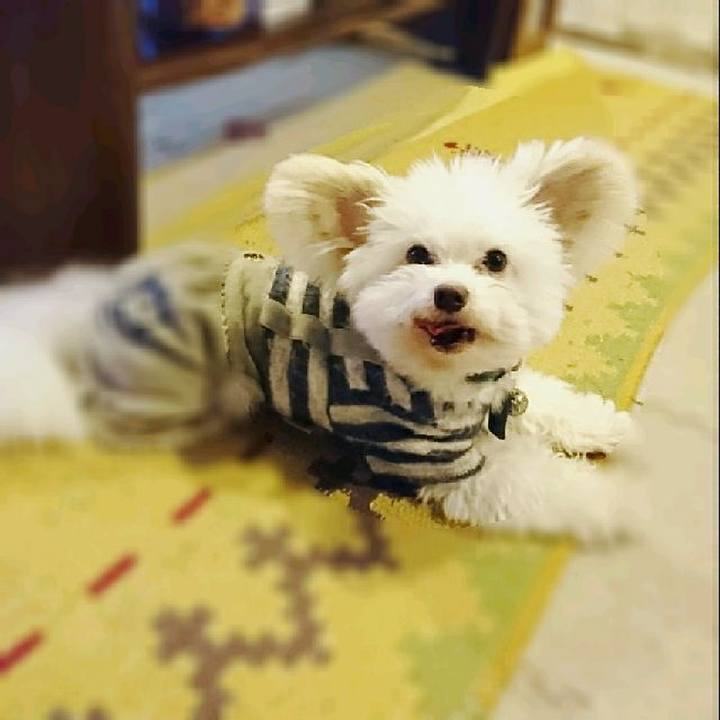 D4291402 222e 4ee0 804d db10ae6999c1