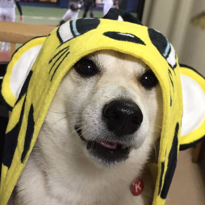 D4291854 f356 4167 8380 911f4754563c