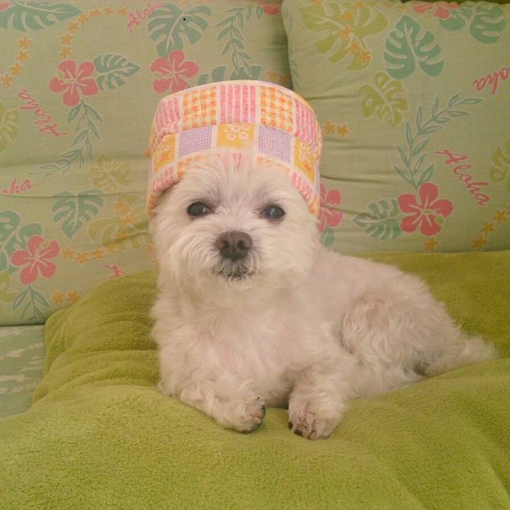 D4295604 c307 467a 9c23 d644de750d1e