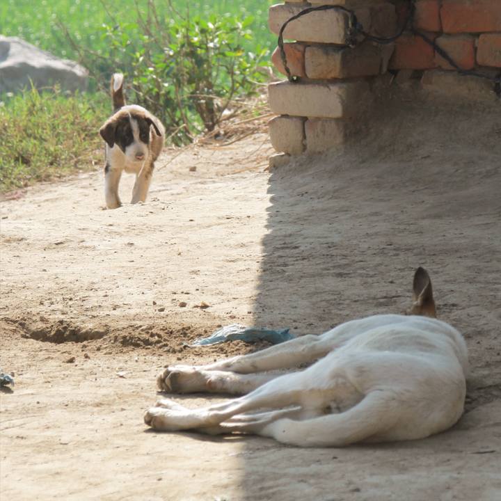 D429b55a e1a4 42a8 8f5d 3ed66206eff1