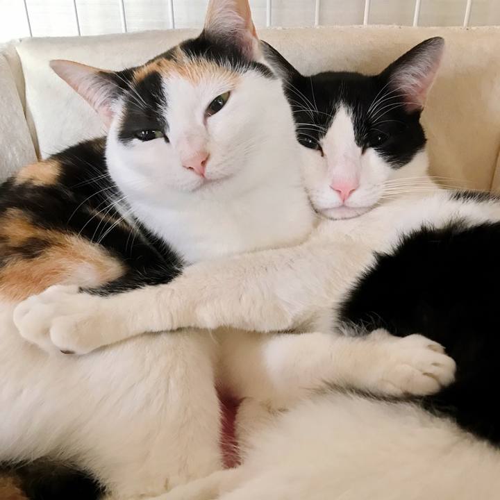 D42a89e3 32f7 48cd b867 fdbbf5b36f6d