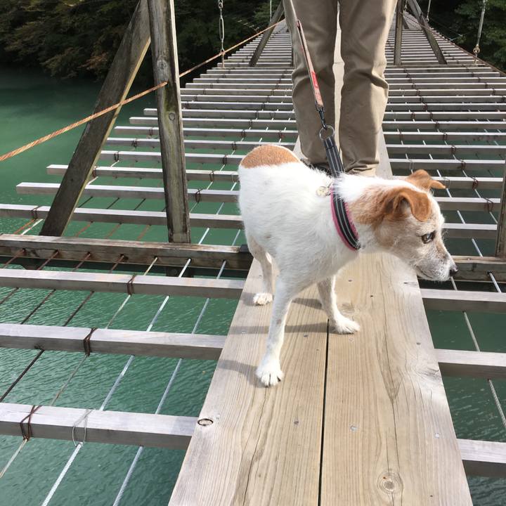 D42bd06d 7249 4bf5 a7d7 7e4eece36253