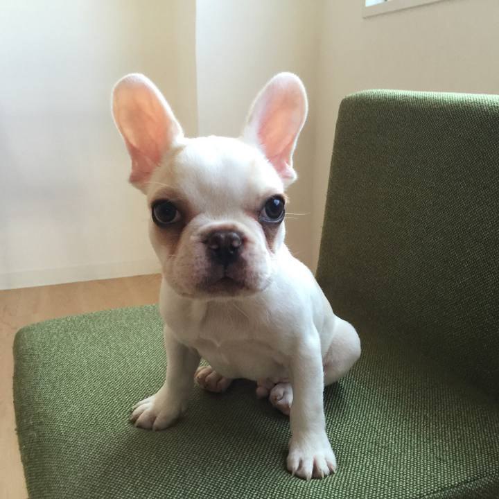 D42c7cdd 1b7b 473c ab6c e8a43dec2ba1