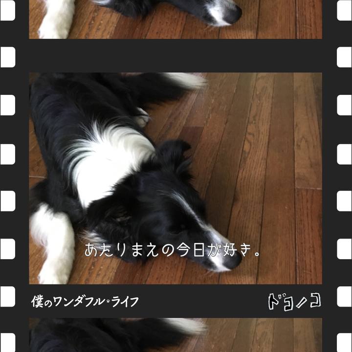 D42c98da e8a6 4adc acd8 dd61ac744bb3