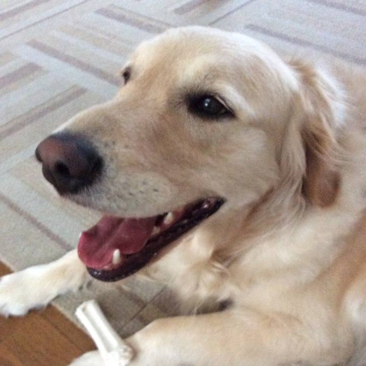 D42d707d a53d 447d b2be a1bc616a9294