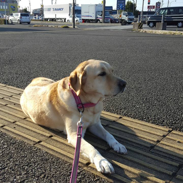 D42d7d0d 4a3b 4803 b236 ec05ceb76f12