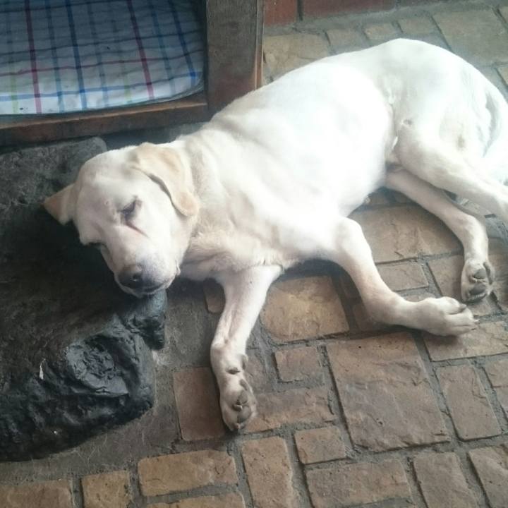 D42d8804 b40a 4760 9d4b 4d041997afc0