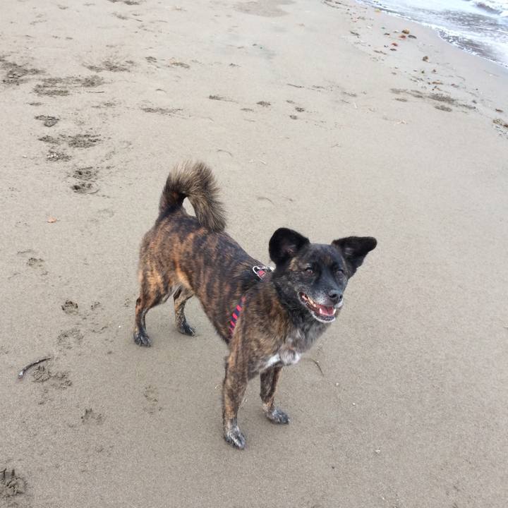 D42d9c5d 1102 4502 a8e1 68944a7a8b5e