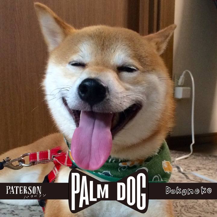 D42e0470 6e42 47ca bdf2 8f17bcc05e12