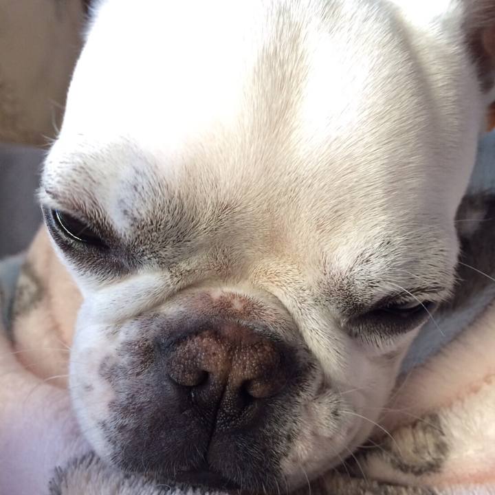 D42e1e51 3308 45c7 aa80 2e0070ff5329