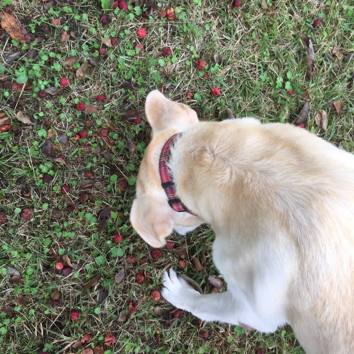 D42e8cb7 8bae 4a63 87e0 e1f9e2b39ddc