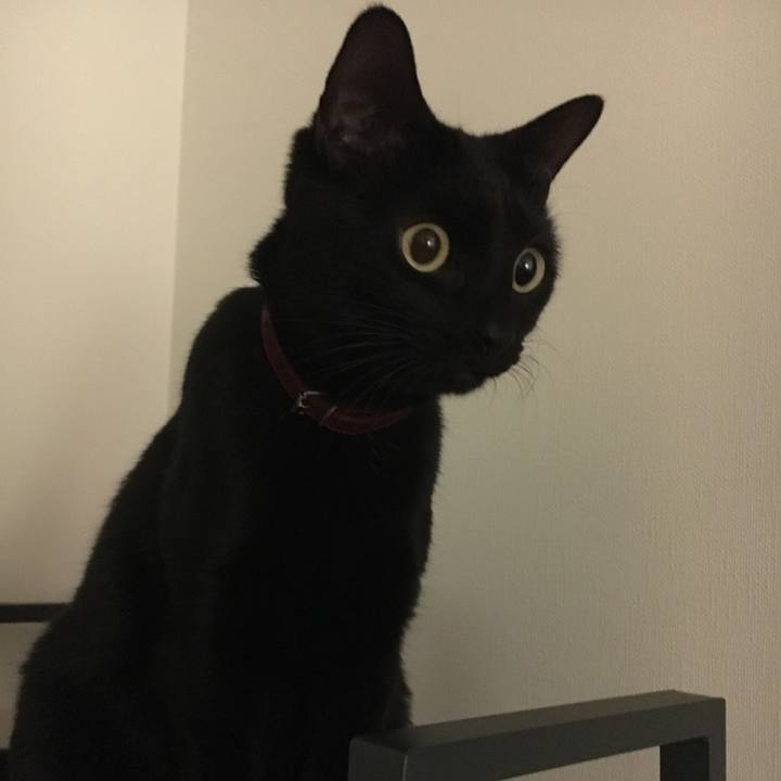 D42eaeae 11ab 454f 89c9 67633839e22e