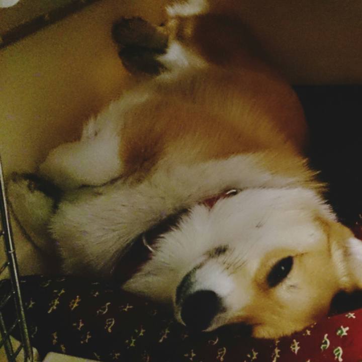 D42eafde 0380 4739 ae23 cdd859e0b190