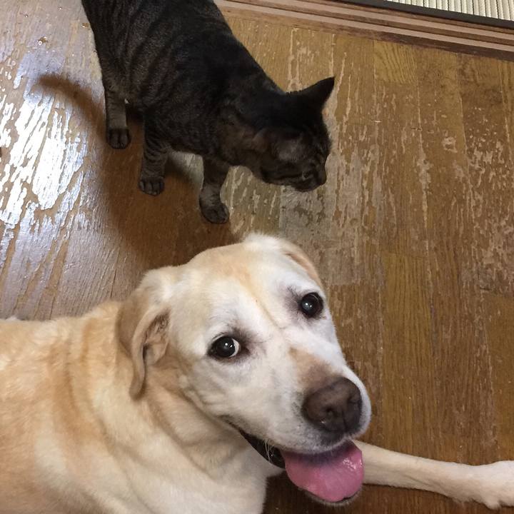 D42f2b63 8e16 4e70 8e11 d3fbac68fed3