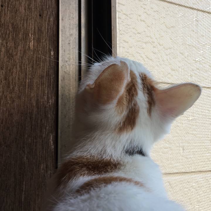 D42fce39 f6aa 4869 9d24 dc1e384de251