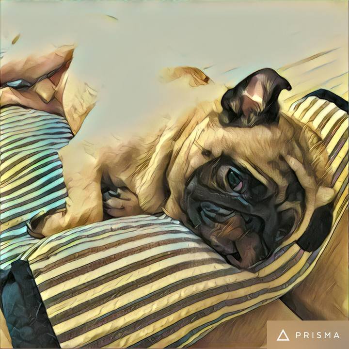 D4307830 7359 4aba 9229 d842de1df716